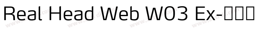 Real Head Web W03 Ex字体转换